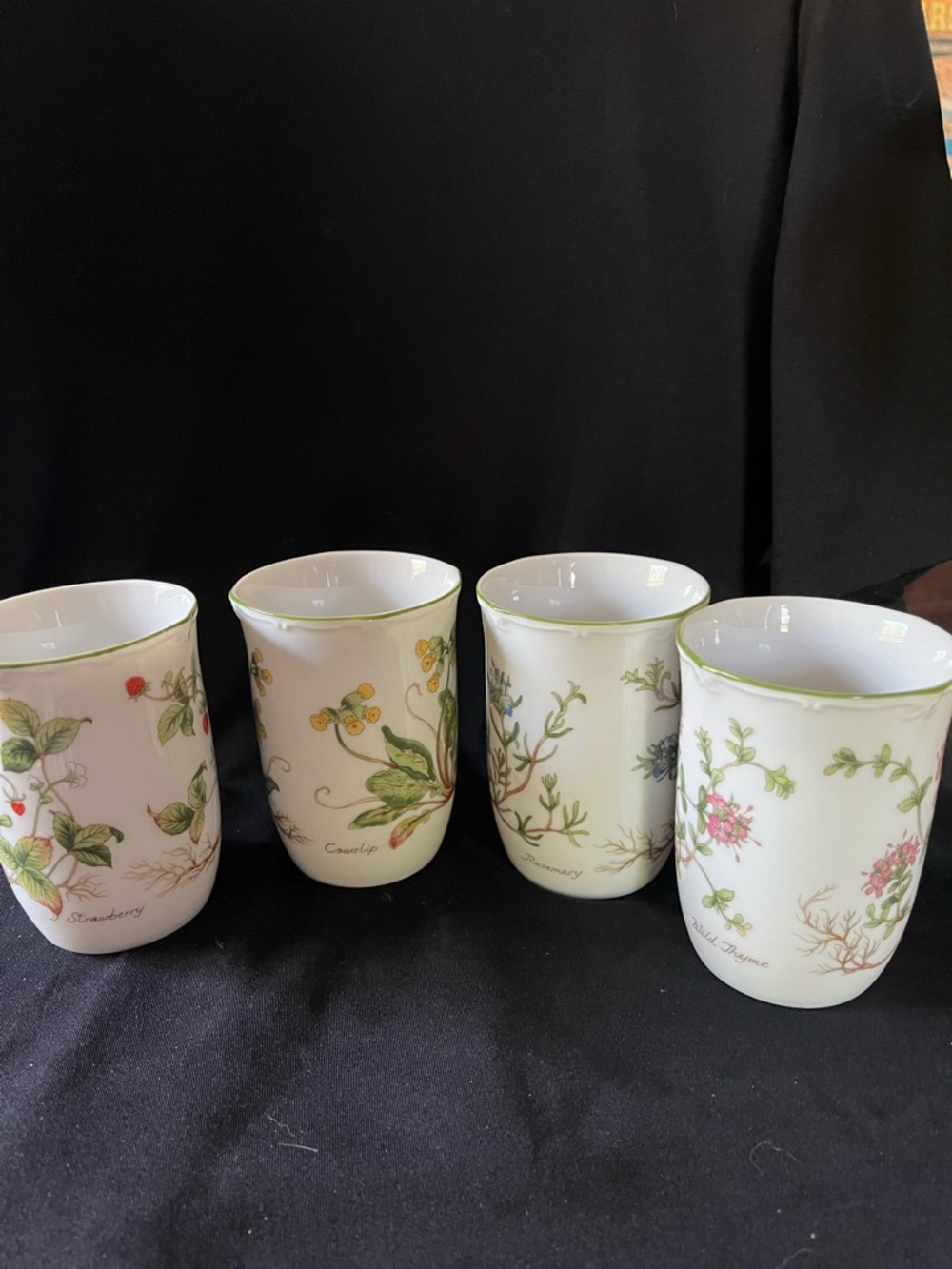 Botanical Porcelain Tumbler Set - Floral Herb Motifs
